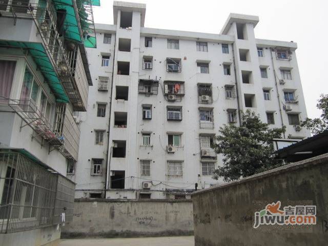 转塘镇实景图图片
