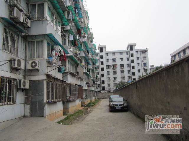 转塘镇实景图图片