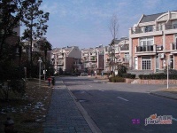 星洲花園紅樹林實景圖圖片