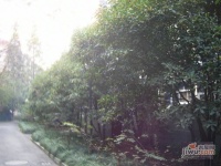 阔板桥社区实景图图片