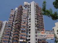 泰和苑實景圖圖片
