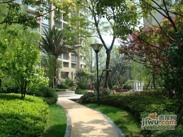 新城國際花園彩園實景圖圖片