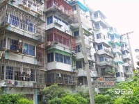 金海公寓實景圖圖片