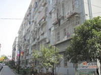 和睦路小區實景圖圖片