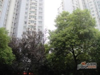在水一方實景圖圖片