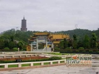 东方文化园实景图图片