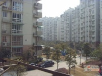 北景竹鄰苑實景圖圖片