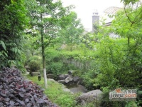 新西湖花园实景图图片