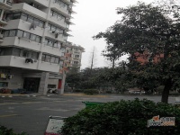 美都公寓實景圖22