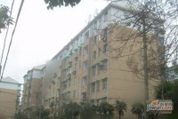 閘弄口東村實景圖圖片
