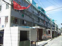 閘弄口東村實景圖圖片