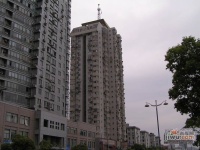 中大廣場實景圖圖片