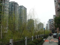 米市社區實景圖圖片
