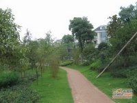广瑞瑞城花园实景图10