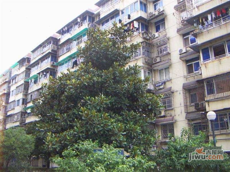 金秋花园实景图图片
