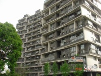 钱江时代公寓实景图图片