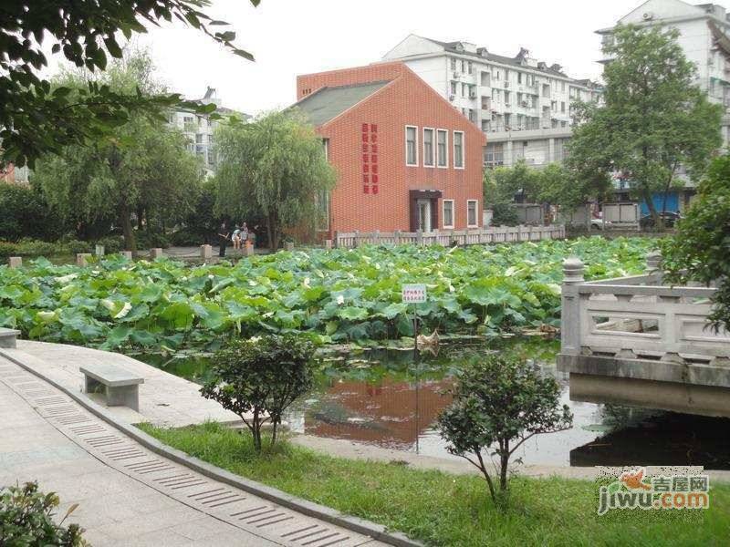 采荷小区芙蓉邨实景图图片