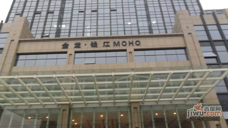 金龙钱江MOHO实景图9