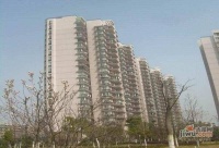 三塘桃園實景圖圖片