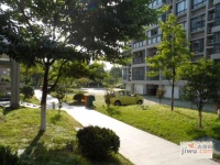 東海水漾人家實景圖圖片