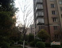 三里新城蘭苑實景圖53
