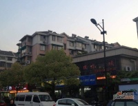 三里新城蘭苑實景圖53