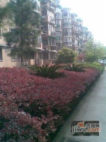 三里新城蘭苑實景圖53