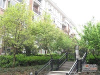 陽光地帶花園實景圖圖片