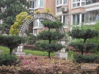 陽光地帶花園實景圖圖片