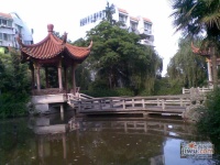 海景城花園實景圖25