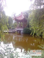 海景城花園實景圖25