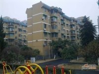 海景城花園實景圖25