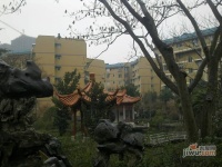 海景城花園實景圖25