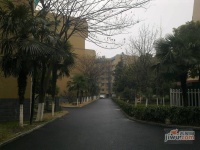 海景城花園實景圖25
