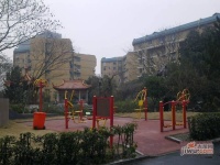 海景城花園實景圖25