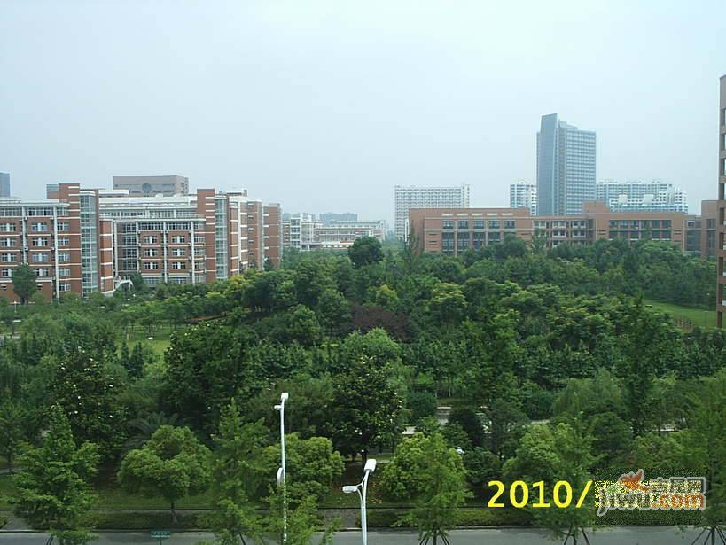 大都文苑風情實景圖圖片