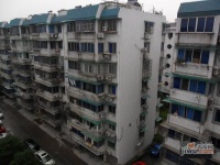 中興公寓實景圖圖片