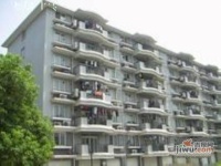 紫金小區實景圖5