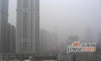 紫金小區實景圖5