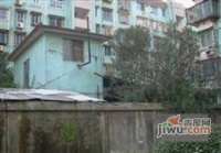 紫金小區實景圖5