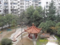 紫金小區實景圖5