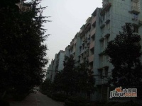 紫金小區實景圖5