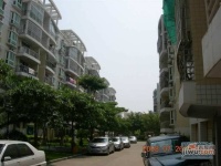 紫金小區實景圖5