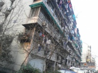朝暉二小區實景圖24