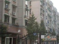 朝暉二小區實景圖24