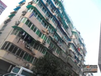 朝暉二小區實景圖24