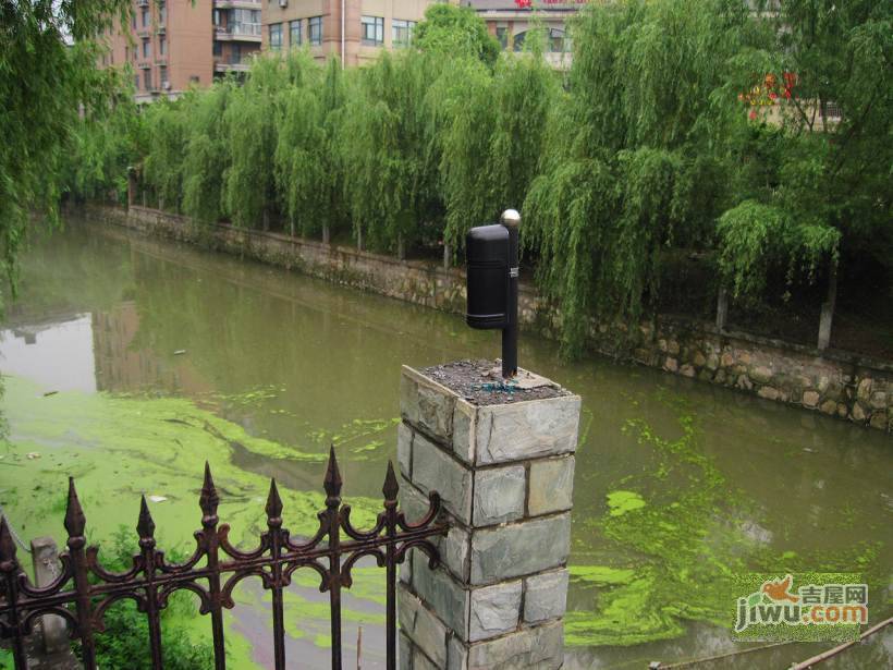 岸上蓝山实景图图片