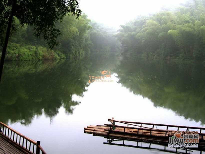 竹海水韵实景图图片