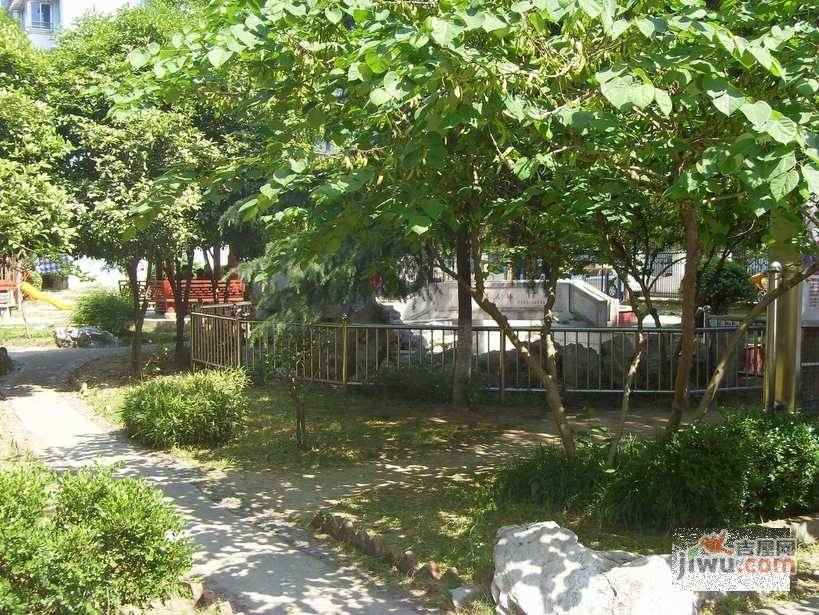 紫金小區實景圖5
