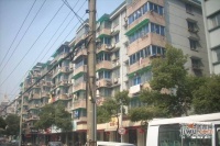 南肖埠小區實景圖圖片
